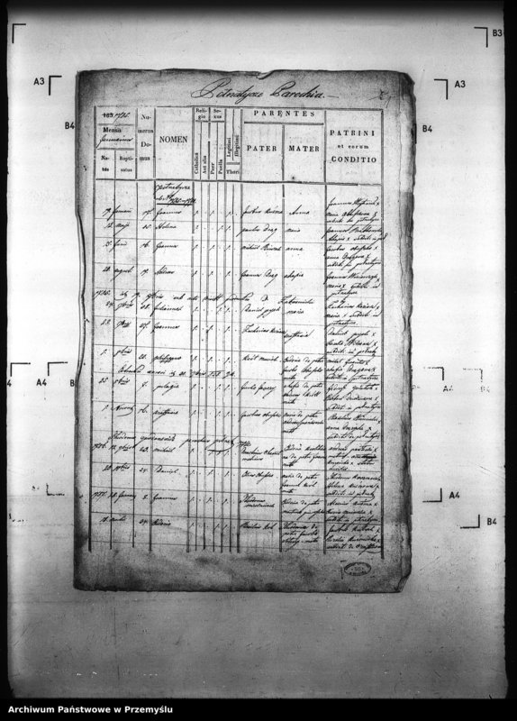 image.from.unit.number "[Kopie ksiąg metrykalnych parafii Pełniatycze z filiami Cząstkowice, Czelatyce, Roźwienica, Rożniatów, Rudołowice, Wola Roźwienicka (dekanat Pruchnik)]"