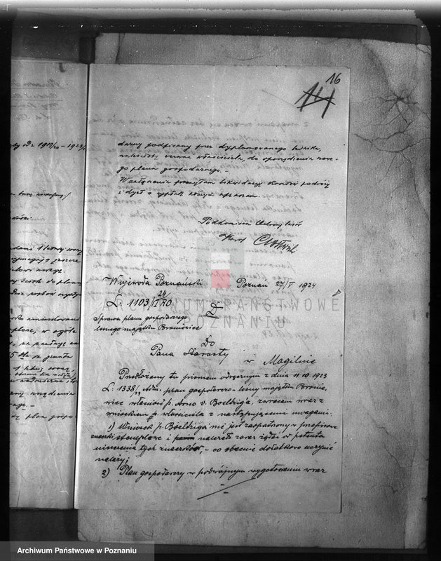 Obraz 20 z jednostki "Majętność leśna /Bronie wiec/ powiat mogileński"