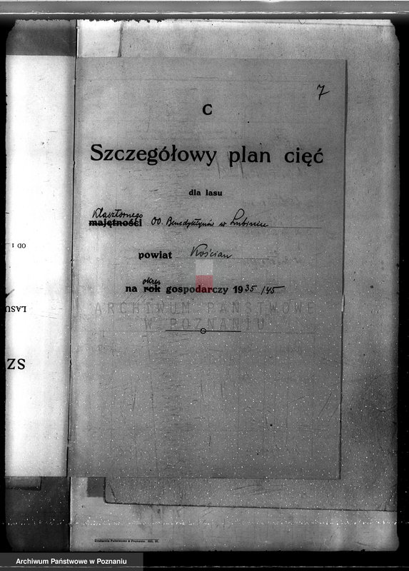 Obraz 11 z jednostki "Program urządzania gospodarstwa leśnego dla lasu klasztoru O.O Benedyktynów w Lubiniu powiat kościański"