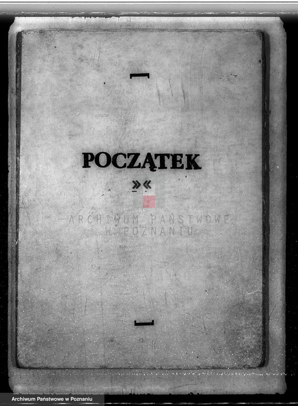 Obraz 3 z jednostki "Sprawa nieprawego wyrębu lasu w majątku Karczew w powiecie kolskim"