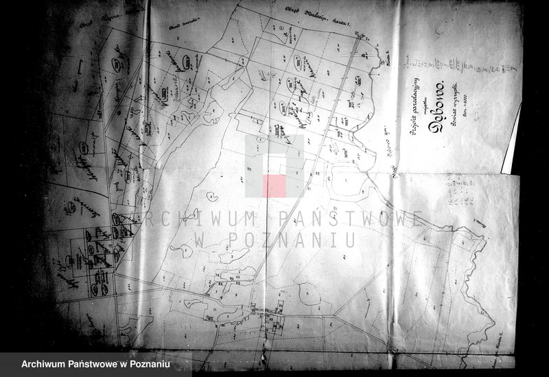 Obraz 11 z jednostki "Majątek Dębowo powiatu wyrzyskiego parcelacja rządowa"