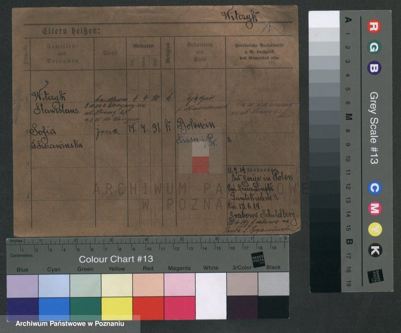 Obraz 5 z jednostki "Witczyk - Witkamp"