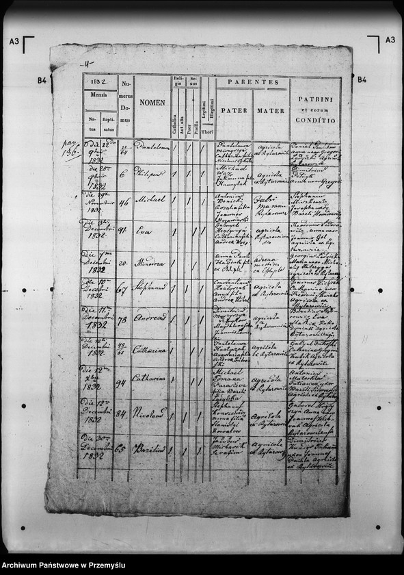 Obraz 8 z jednostki "[Kopie ksiąg metrykalnych parafii Rajtarowice z filiami Rogóźno, Sadkowice (dekanat Mościska)]"