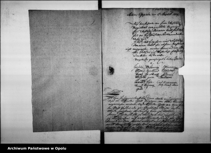 Obraz 10 z jednostki "Acta des Magistrats zu Oppeln wegen Entrichtung der Brückenzoll-Geffälle von dem fremden Mahl-Gässten, so zu den hiesigen Domain-Amts Mühlen fahren."