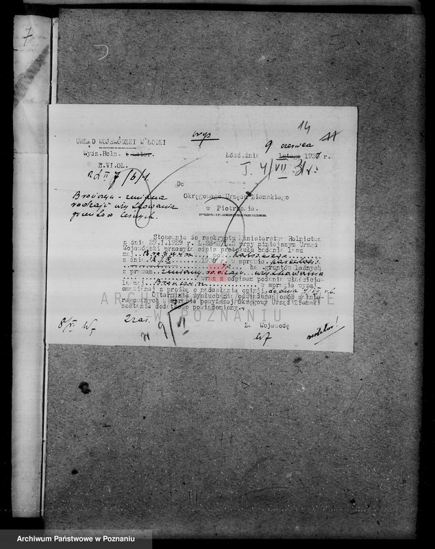 Obraz 18 z jednostki "Zmiana rodzaju użytkowania 40 ha gruntów leśnych w majątku Brańczyn w powiecie kaliskim"