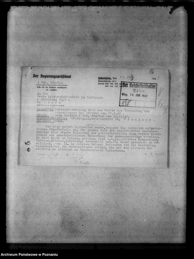 Obraz 20 z jednostki "Tierquälerei an Pferden. Scheuklappen."