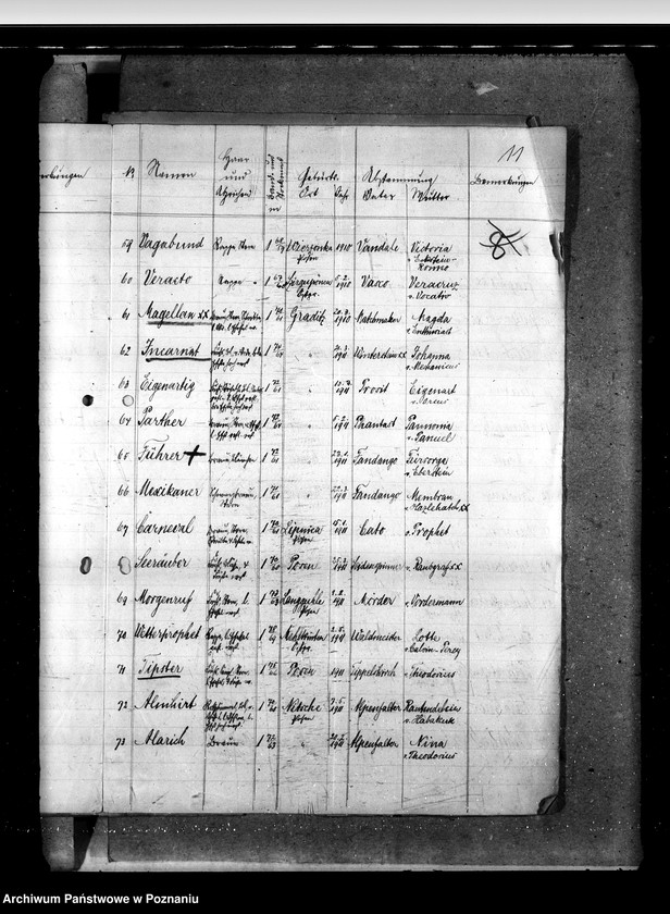 Obraz 15 z jednostki "Sprawy stadnin Zarząd Stadnin Sieraków"