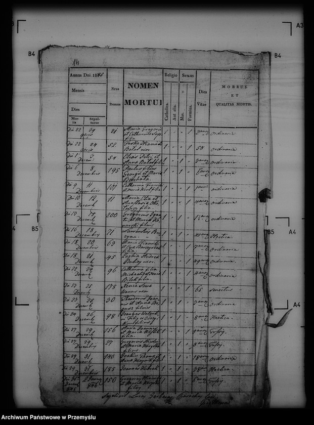 Obraz 18 z jednostki "[Kopie ksiąg metrykalnych parafii Piątkowa Ruska (dekanat Bircza)]"
