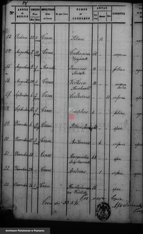 Obraz 20 z jednostki "Duplikat baptisatorum, copulatorum, mortuorum"