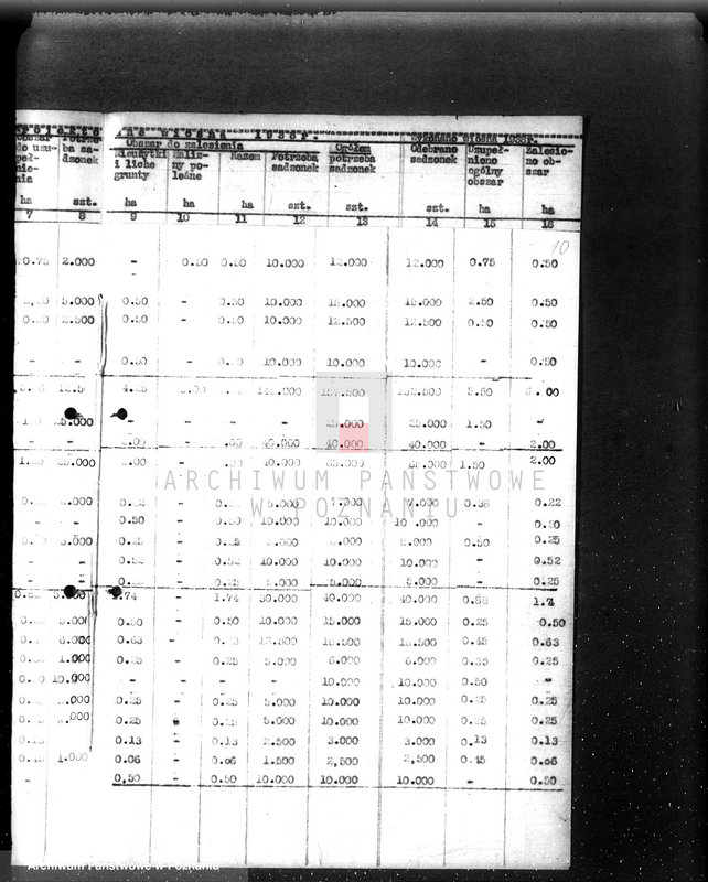 Obraz 14 z jednostki "Zalesienie nieużytków w powiecie bydgoskim"