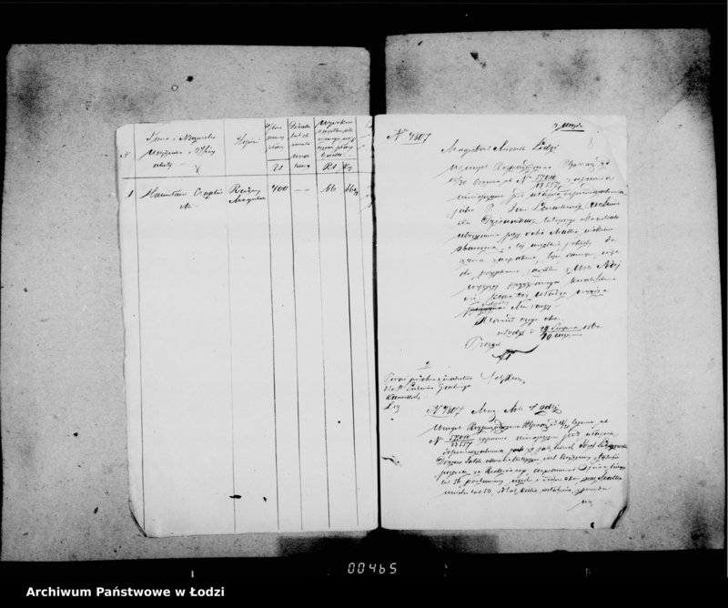 Obraz 10 z jednostki "Akta w przedmiocie urzędników i oficjalistów"