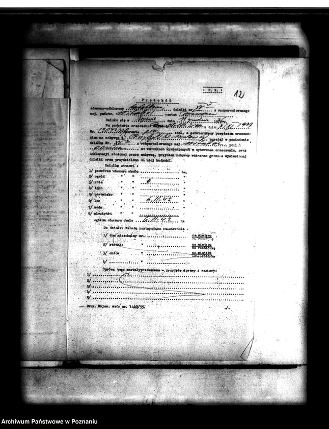 Obraz 16 z jednostki "Parcelacja lasu Witobel XV powiatu poznańskiego Walenty Przybylski"