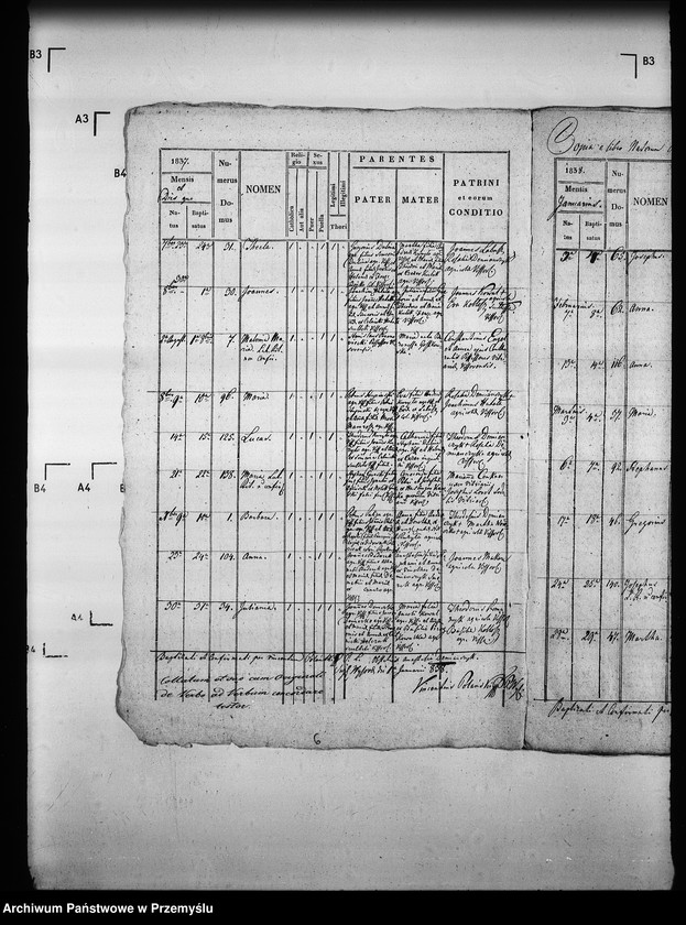 Obraz 9 z jednostki "[Kopie ksiąg metrykalnych parafii Wysowa z filią Blechnarka (dekanat Gorlice)]"