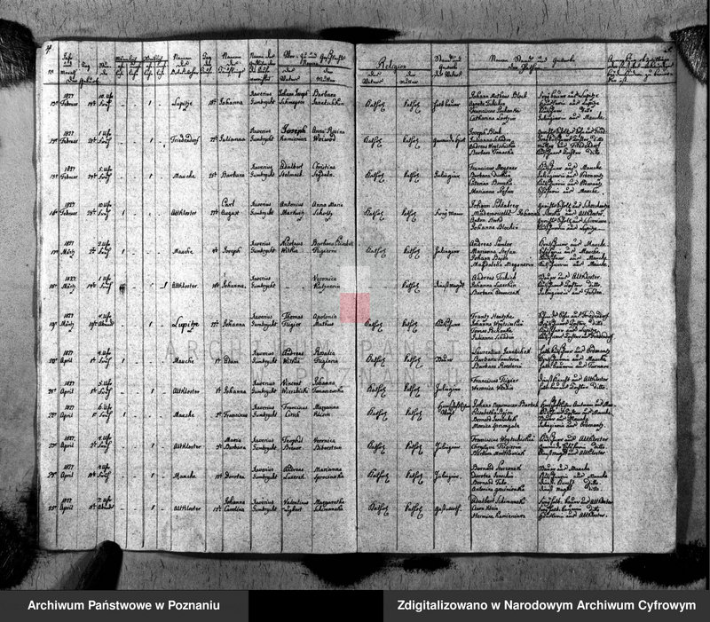 image.from.unit.number "Duplikat des Taufen, Traugen und Verstorbenen"