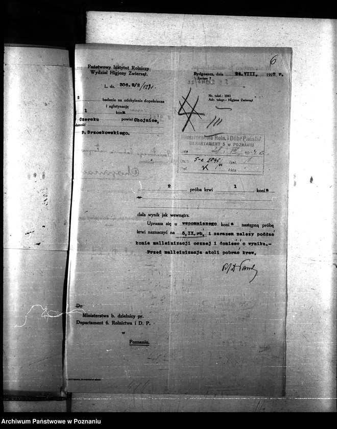 Obraz 10 z jednostki "Nosacizna - Chojnice"