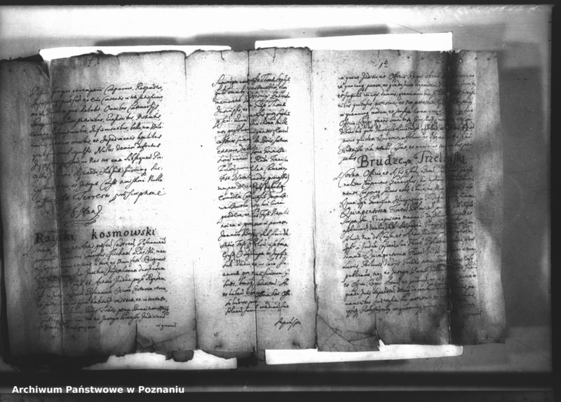 Obraz 5 z jednostki "Relationes [protocollon]"