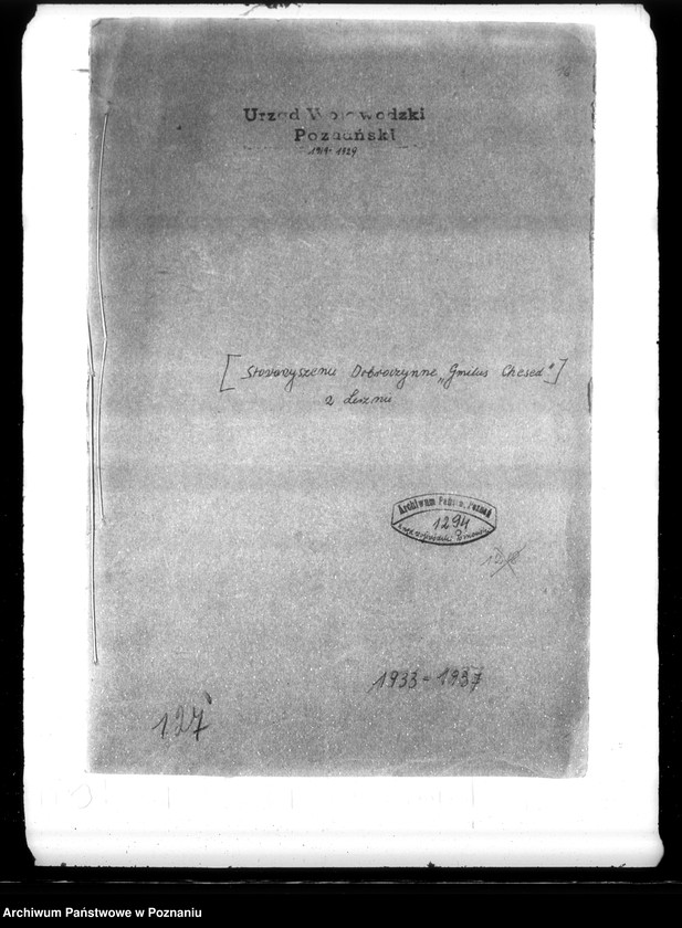 Obraz 4 z jednostki "/Stowarzyszenie Dobroczynne,,Gemitus Chesed" w Lesznie/"