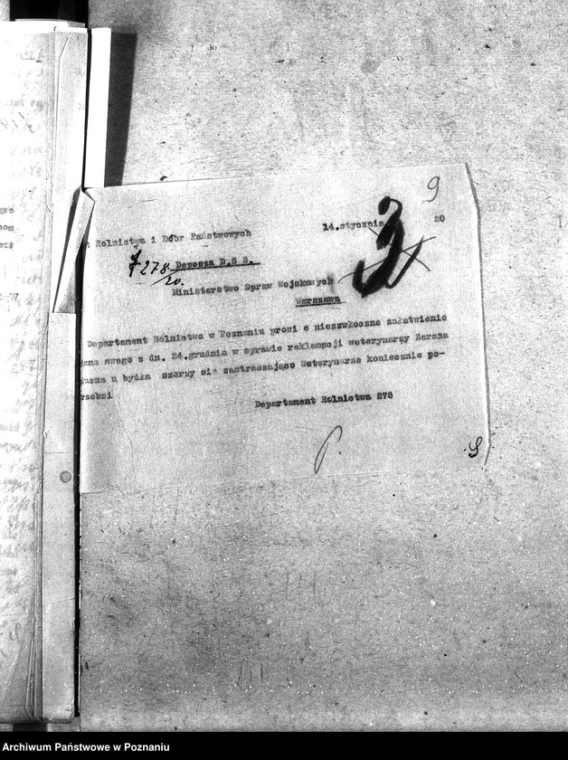 Obraz 13 z jednostki "Weterynarze Powiatowi [specjalne]"