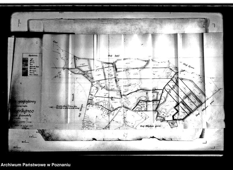 image.from.unit.number "Rejestr przydziału zasiewów majątku Duszniki"