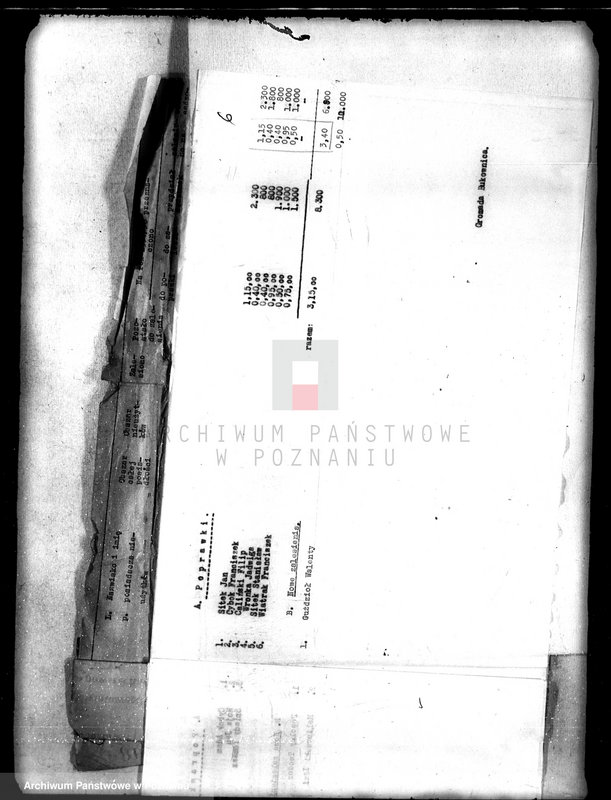 Obraz 10 z jednostki "/Sprawozdania z zalesienia nieużytków na terenie powiatu kępińskiego"