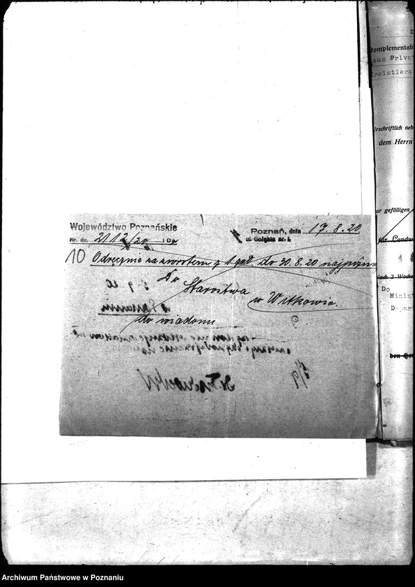 Obraz 13 z jednostki "Nosacizna - Witkowo"