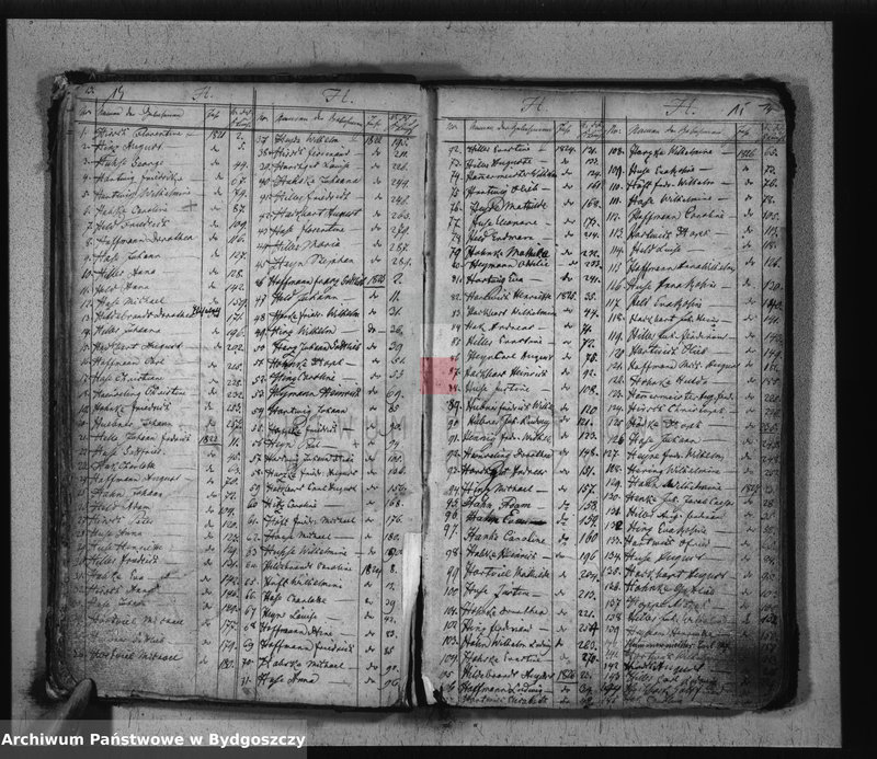 Obraz 10 z jednostki "Sumariusz urodzeń"