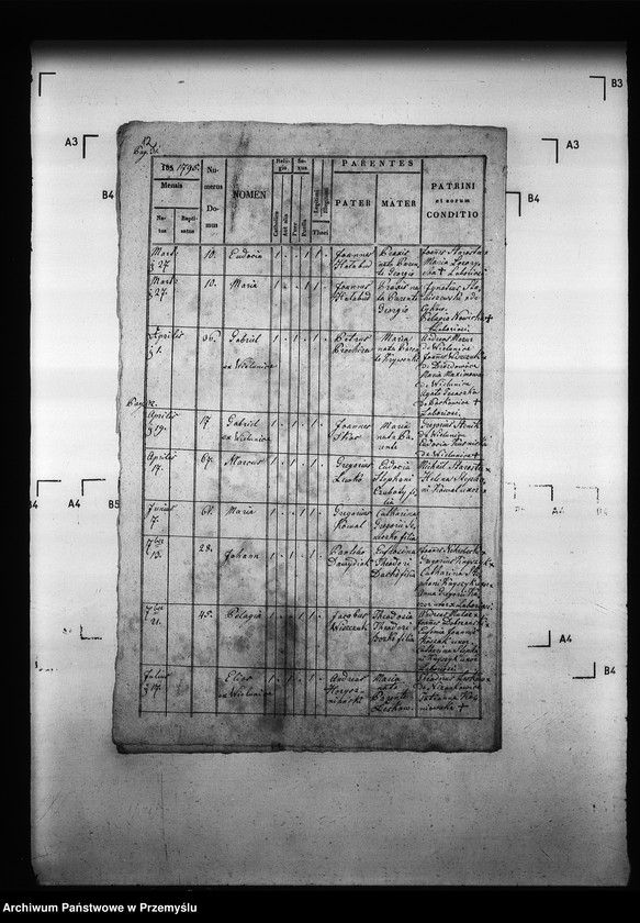 Obraz 16 z jednostki "[Kopie ksiąg metrykalnych parafii Drozdowice z filiami Stroniowice, Wielunice (dekanat Niżankowice)]"