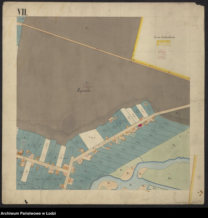 Obraz 13 z jednostki "Pierworys pomiaru territorium Miasta Tomaszowa Mazowieckiego z przyległymi gruntami i lasami do dóbr Tomaszowa należącymi ..."