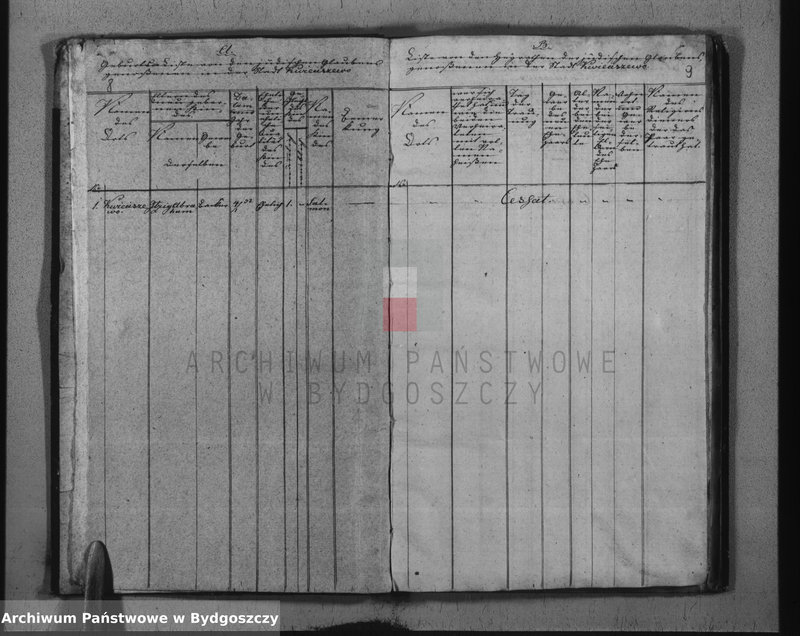 image.from.team "Akta metrykalne żydowskiej gminy wyznaniowej w Kwieciszewie pow. Mogilno"
