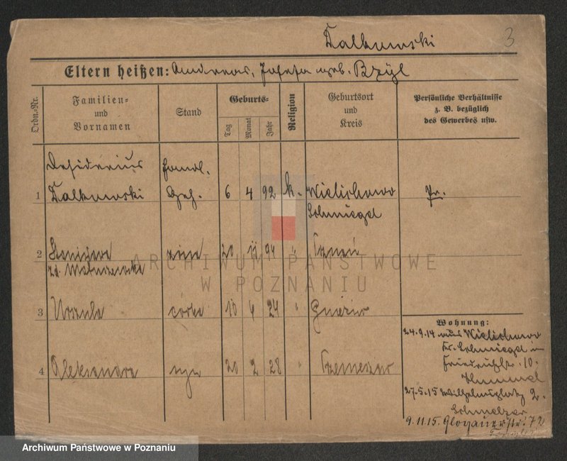 Obraz 5 z jednostki "Dalkowski - Danielewicz"