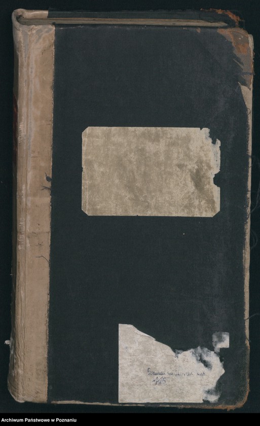 Obraz 2 z jednostki "Indeks urodzeń"