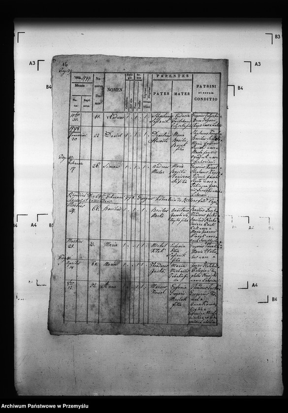 Obraz 20 z jednostki "[Kopie ksiąg metrykalnych parafii Drozdowice z filiami Stroniowice, Wielunice (dekanat Niżankowice)]"