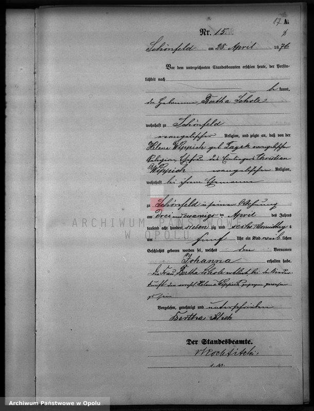 image.from.unit.number "Geburts-Haupt-Register Standesamts Schönfeld pro 1876"