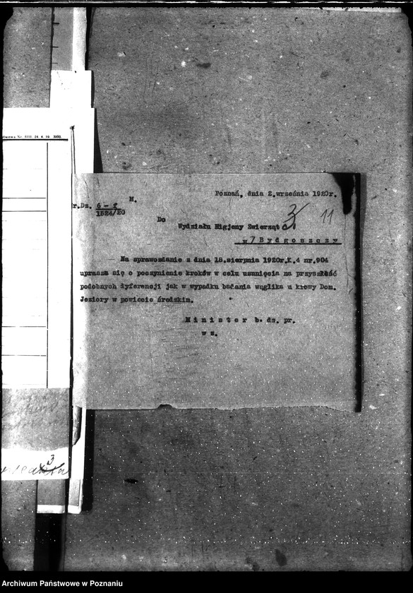 Obraz 15 z jednostki "Sprawy ogólne wąglik, szelestnica i zaraza dziczyzny"