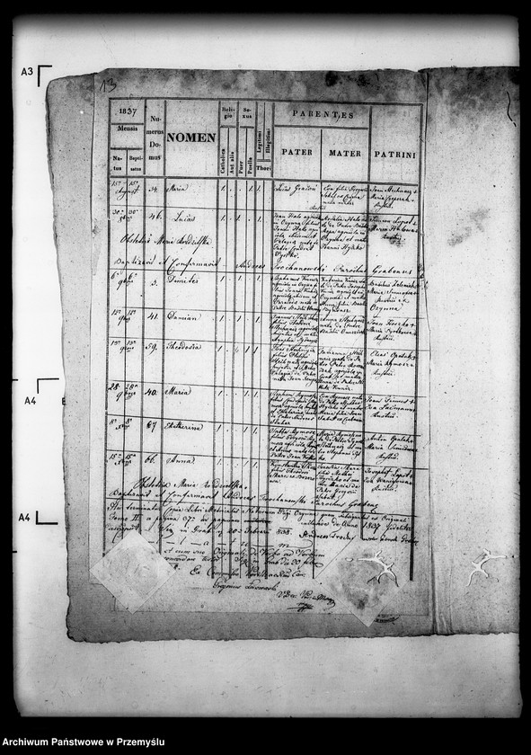 Obraz 17 z jednostki "[Kopie ksiąg metrykalnych parafii Grab z filiami Ożenna, Wyszowatka (dekanat Dukla)]"