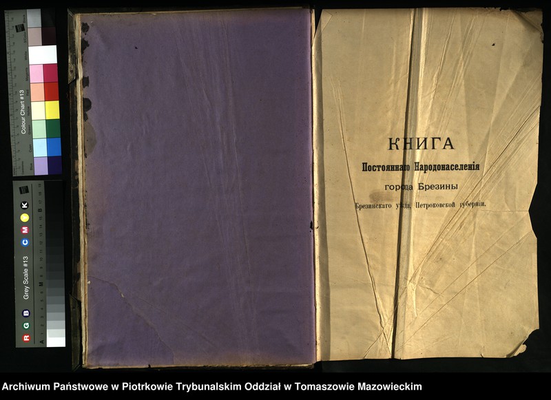image.from.unit.number "[Księga ludności stałej miasta Brzezin tom VII]"