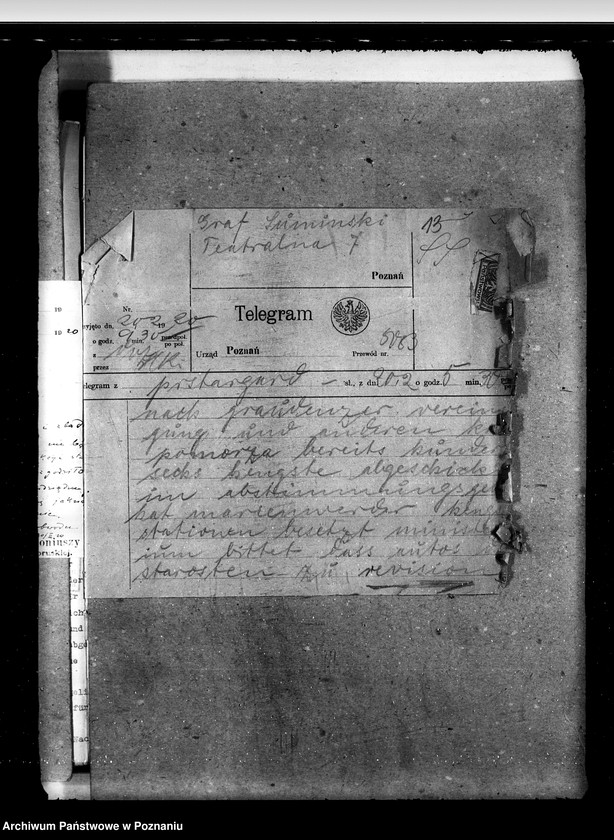 Obraz 17 z jednostki "Zarząd Stadnin Starogard"