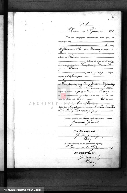 Obraz z jednostki "Geburts-Neben-Register Standes-Amt Koppen 1883"