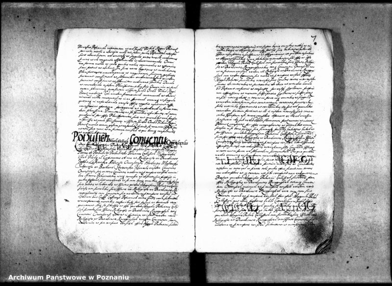 Obraz 10 z jednostki "Inscriptiones [inducta]"