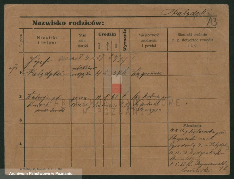 Obraz 13 z jednostki "Palecek - Paluszewski"