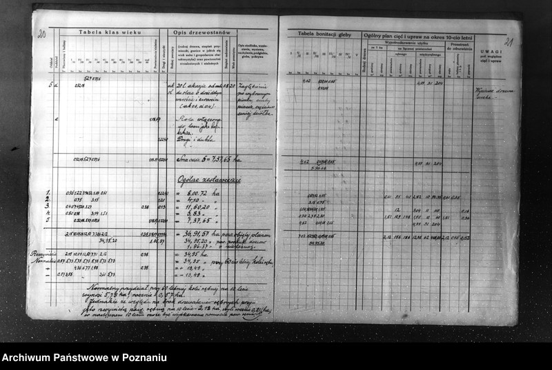 Obraz 15 z jednostki "Plan urządzenia gospodarstwa leśnego dla lasu majętności Kuleczyn w powiat nowotomyski 1933-1943"