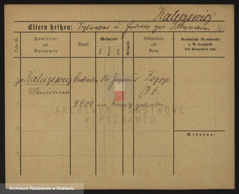 Obraz 16 z jednostki "Kałużewicz - Kaminowski"