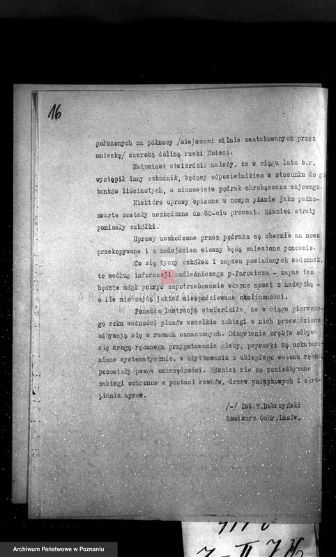 Obraz 20 z jednostki "Majętność /leśna/ Smogulecka Wieś powiat szubiński"