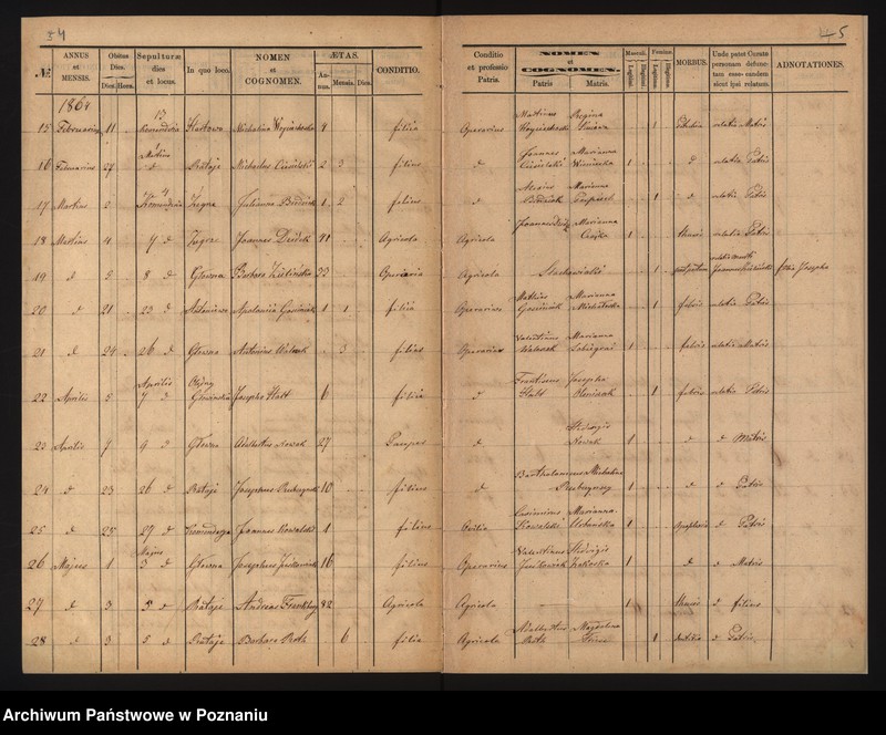 Obraz 4 z jednostki "Księga zgonów"