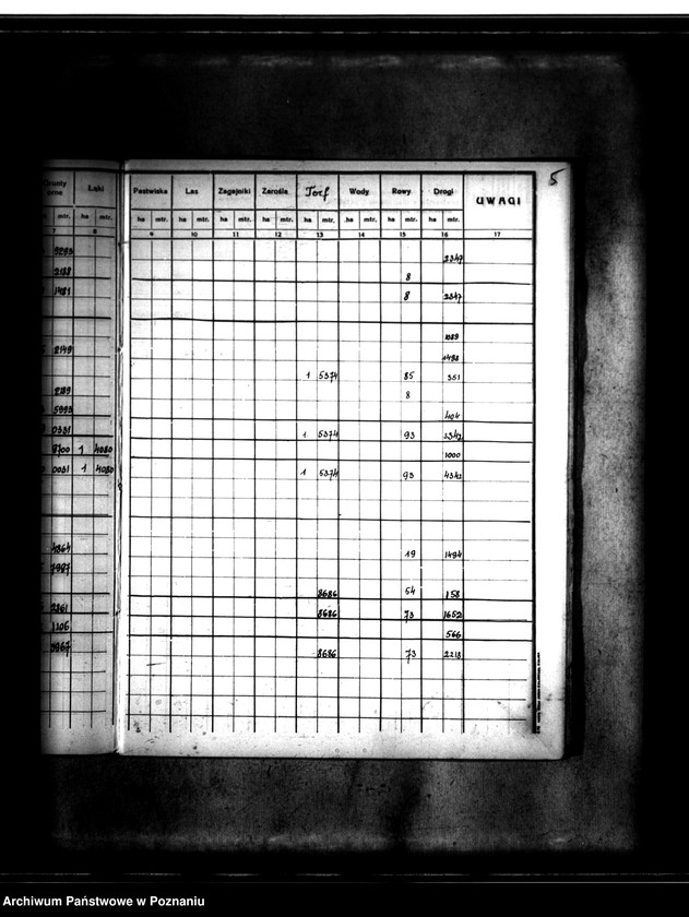 Obraz 9 z jednostki "Rejestr pomiarowy gminy Goszczanów powiat turecki"