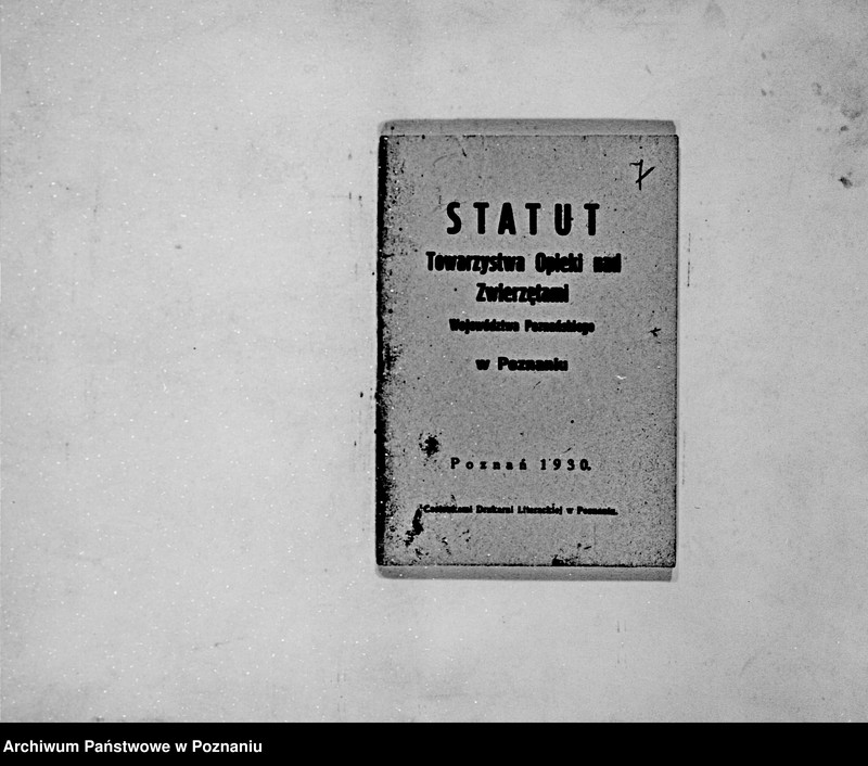 Obraz 10 z jednostki "/Towarzystwo Opieki nad Zwierzętami Województwa Poznańskiego w Poznaniu/"