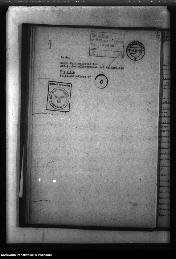 Obraz 13 z jednostki "Meldunki o chorobach zakaźnych w Kraju Warty"