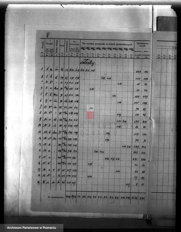 Obraz 12 z jednostki "Plan urządzenia gospodarstwa leśnego dla lasu majętności Śródka w powiecie międzychodzkim 1930-1940"