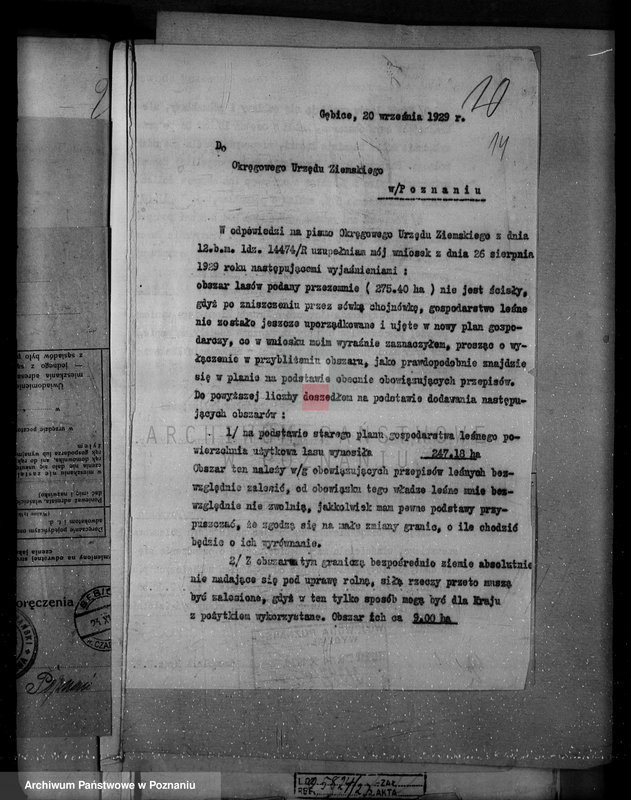 Obraz 18 z jednostki "/Nadzór nad lasami/ majętności Gębice powiatu czarnkowskiego"