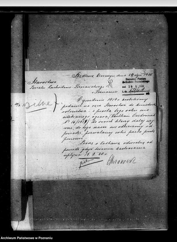 image.from.unit.number "Sprawy stadnin ogiery nielicencjonowane"